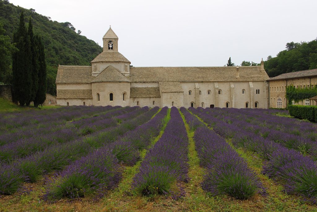 abbazia di Senanques
